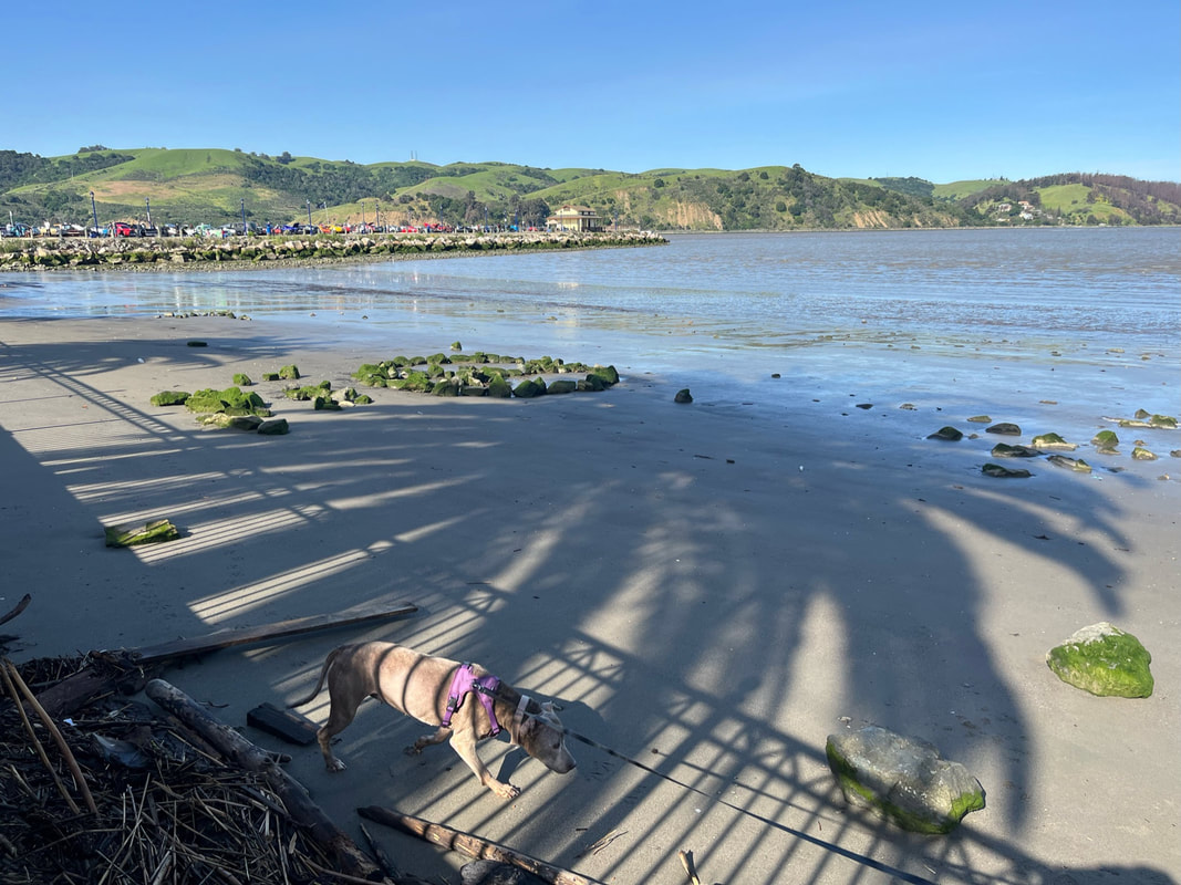 Benicia Seashore